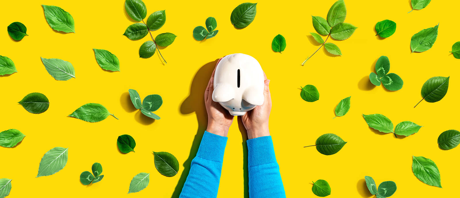 Springtime Is Clean Your Finances Time